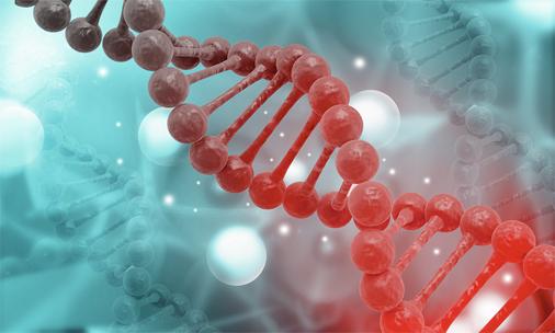 Association of LILRB3 variants with kidney transplant failure in African Americans