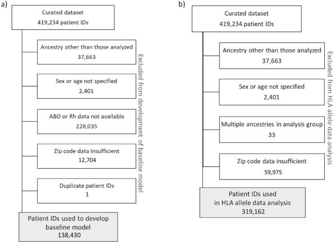 Association between HLA genetics and SARS-CoV-2 infection in a large real-world cohort