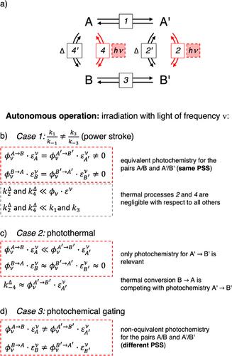 Autonomous Artificial Molecular Motors and Pumps