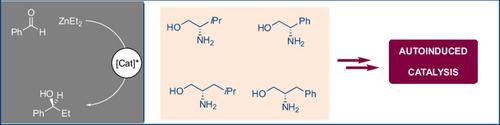 Autoinductive Effects in Zinc-Catalyzed Alkylations of Benzaldehyde Mediated by Simple Chiral β-Amino Alcohol Ligands