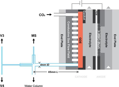 Initial Stages of Gas Diffusion Electrode Flow-Cell CO2 Electrolysis—Monitoring via Synergetic Online Mass Spectrometry and Rapid Sample-Trapping Gas Chromatography