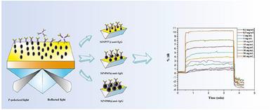 A Comparative Approach to Assess the Particle Size Effect on Performance of Immunoaffinity Surface Plasmon Sensor