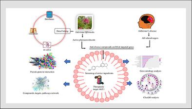 Exploring the Multi-Target Effects of Valeriana officinalis in Alzheimer's Disease: a Network Pharmacology Approach