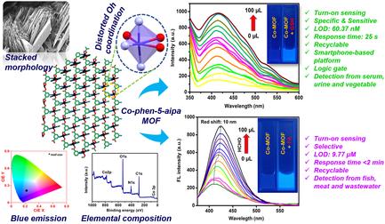 Amine-Templated N,O-Linked Co(II)-MOF with hxl Topology for “Turn-On” Detection of Tumor Biomarker GSH and Industrial Toxicant HCHO: A Dual-Target Approach