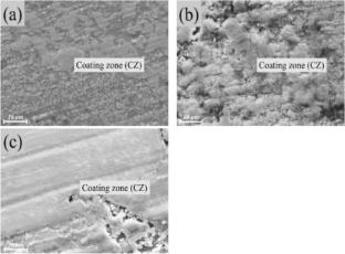 Investigation on Tribological Characteristics of Plasma Transferred Arc Cladded Co-TiC-CaF2 Metal Matrix Composite Coating Produced on Magnesium Alloy AZ91D Substrate