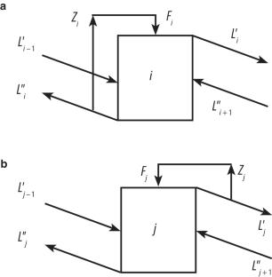 Calculation of a squared-off cascade for simultaneous concentration of intermediate components