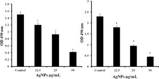 Investigation of antifungal and antibiofilm activities of green synthesized silver nanoparticles against Candida glabrata
