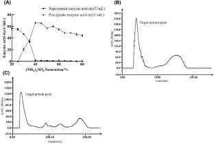 Isolation and identification of the lactase (β-galactosidase) from the soil bacterium Weizmannia coagulans and its expression and production in the expression system of Escherichia coli