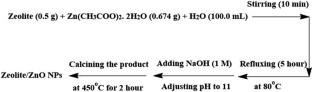 Enhanced photocatalytic degradation of meloxicam and piroxicam using zeolite-supported TiO2 and ZnO nanoparticles: a comparative study of the performance and reusability of catalysts