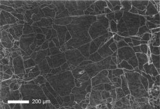 Large irregular Type IIa and Type IIb diamonds: valuable sublithospheric gems that elude conventional indicators