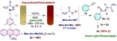A Self-Sustaining Supramolecular (Auto)Photocatalysis via the Synthesis of N-Vinylacetamides