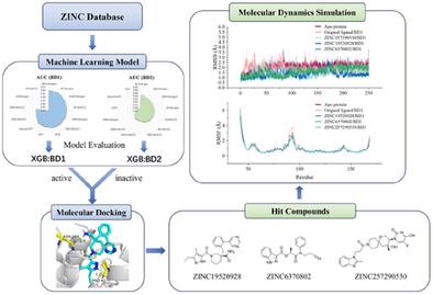 Identification of BRD4 (BD1) Selective Inhibitors Based on Machine Learning, Molecular Docking and Molecular Dynamics Simulation