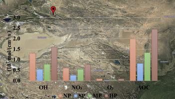 Atmospheric oxidation capacity and its influence on secondary pollution during winter PM2.5 haze episodes in Urumqi