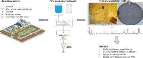 Effectiveness of conventional municipal wastewater treatment plants in microplastics removal: Insights from multiple analytical techniques