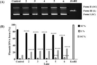 In vitro cellular and molecular plus in silico studies of a substituted bipyridine-coordinated Zn(II) ion: cytotoxicity, ROS-induced apoptosis, anti-metastasis, and BAX/BCL2 genes expression