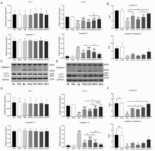 Mechanism study of the effects of astragaloside IV and quercetin on idiopathic pulmonary fibrosis
