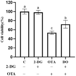 Ochratoxin A-induced mitochondrial pathway apoptosis and ferroptosis by promoting glycolysis