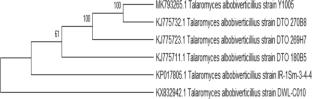 Identification of airborne Penicillium and their association with outdoor air quality in a middle Eastern city