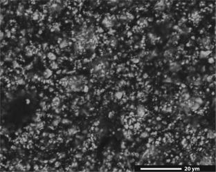 Production of strontium hexaferrite permanent magnets by the CIM technology