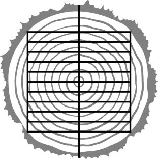 Abstract Image
