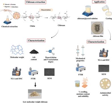 Development and Evaluation of Chitosan Active Films for Food Packaging Materials: A New Exoskeleton Source