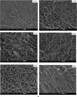 Enhanced bacterial cellulose production from black soy sauce residue by Komagataeibacter xylinus: a sustainable bioconversion approach