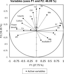 Impact of fertilizer, salinity, and exo-electrogen bacteria on the performance of plant microbial fuel cell (PMFC) using rice plant (Oryza sativa)