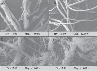 Sustainable cellulose nanofiber extraction from Borassus flabellifer: a comprehensive study and analytical insights