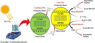 Unveiling the Synthesis, Characterization, and Multifunctional Applications of Ca₅(PO₄)₃F@Ca₅P₈ Nanocomposites From Phosphate Waste for Antioxidant Activity and Evans Bleu Decomposition