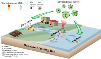 Characteristics of regionalized distribution of antibiotics and ARGs in Daliao River-Liaodong Bay waters and their environmental impact factors