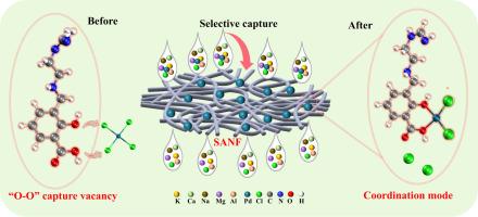 Effective recovering Pd(II) ions via tuning the Lewis basicity of nanofiber capture vacancy
