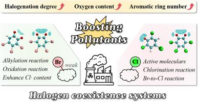 Free radical mechanisms of halogen coexistence promoting pollutants formation