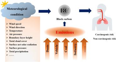 Black carbon in urban Jinan: Variations, health risks, and driving factors analyzed with machine learning
