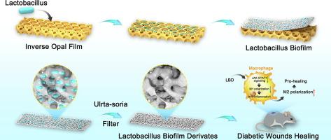Natural, safety immunomodulatory derivatives of lactobacillus biofilms promote diabetic wound healing by metabolically regulating macrophage phenotype and alleviating local inflammation
