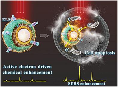 Utilizing Electron-Sink-Enhanced Nanoshells for Amplified Nanoplasmonic SERS-Based In Situ Detection of Cancer Cells, Linking Signal Enhancement with Cellular Damage