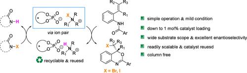 Asymmetric Halocyclization of 2-Anilidostyrenes Using N-Haloamides Enabled by Chiral Anion Phase-Transfer Catalysis