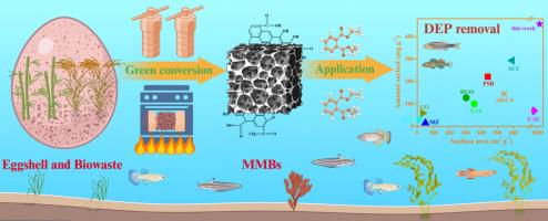 Micro-mesoporous biochars derived from the copyrolysis of agroforestry residue and eggshell for removing plasticizer from water