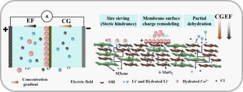 Electric-field-assisted Co2+ reconstruction on lamellar MXene/δ-MnO2 membrane surfaces for efficient Li+/Co2+ separation