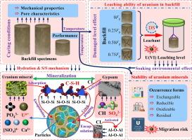 Effects of temperature and damage degree on the uranium leaching levels of uranium tailings filling materials and their S/S mechanism