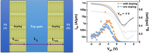 Localized Charge Doping in Carbon Nanotube Field-Effect Transistors via Metal Subnanocluster Absorption