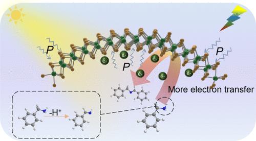 Unveiling the Curvature Effect on the Activity of MoSe2 for Piezo-Photocatalytic C–N Coupling of Benzylamine