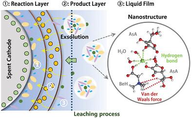 Boosting Leaching of Spent Ternary Cathode via Strong Van Der Waals Force Beyond Hydrogen Bonding