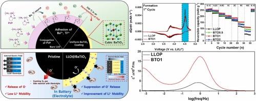 Polymeric Bridge-assisted Dielectric BaTiO3 Coating for Stable and Enhanced Electrochemical Properties of Li-rich Layered Oxides