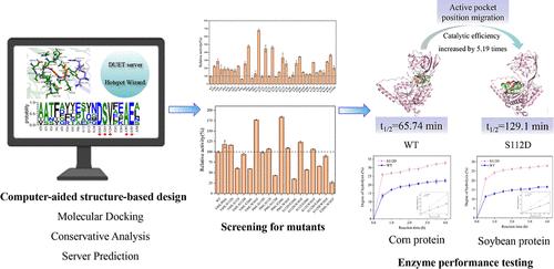 Simultaneously Enhancing the Catalytic Activity and Thermostability of Pseudomonas aeruginosa Aminopeptidase via Structure-based Design