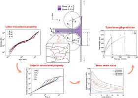 The peel strength (cohesive/adhesive) of amine-associating polymers