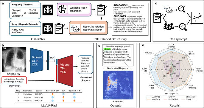 A clinically accessible small multimodal radiology model and evaluation metric for chest X-ray findings