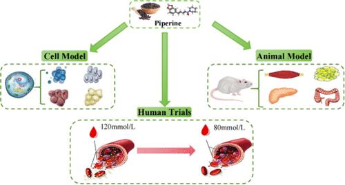 Regulating Effect and Mechanisms of Piperine on Glucose Homeostasis