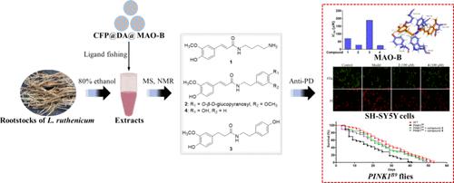 Phenolamides from Rootstocks of Lycium ruthenicum Murr by Ligand Fishing and Their Neuroprotective Effects