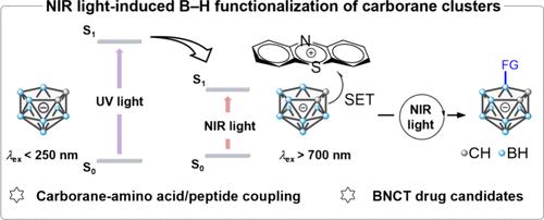 Taming Inert B–H Bond with Low Energy Light: A Near-Infrared Light-Induced Approach to Facile Carborane Cluster-Amino Acid Coupling