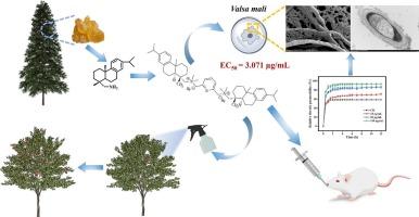 Renewable rosin-based bisquaternary ammonium salt with pyridyl design, synthesis and antifungal activity